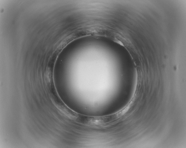 X0000070870174200606161215