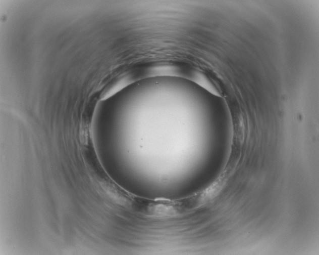 X0000070870180200606161215