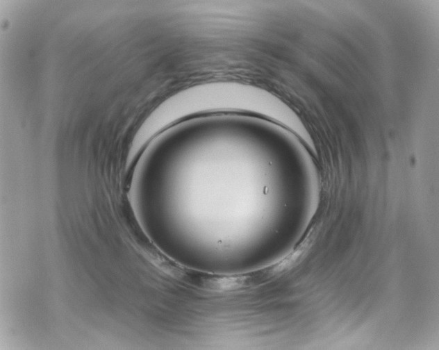 X0000070870184200606161215