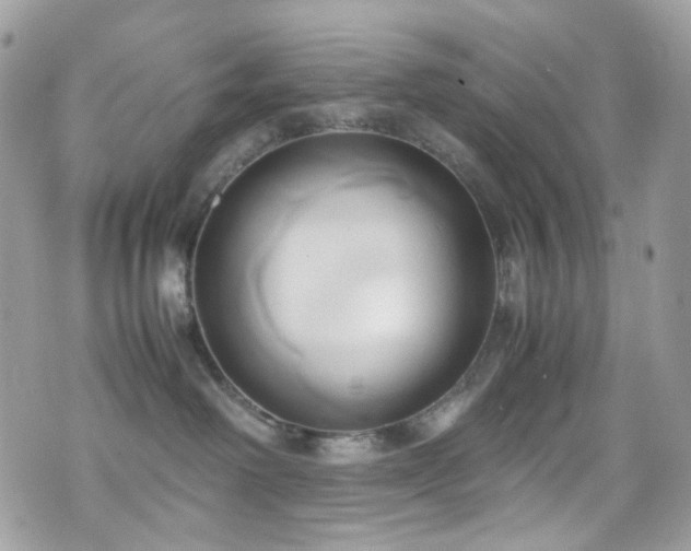 X0000070870238200606161213