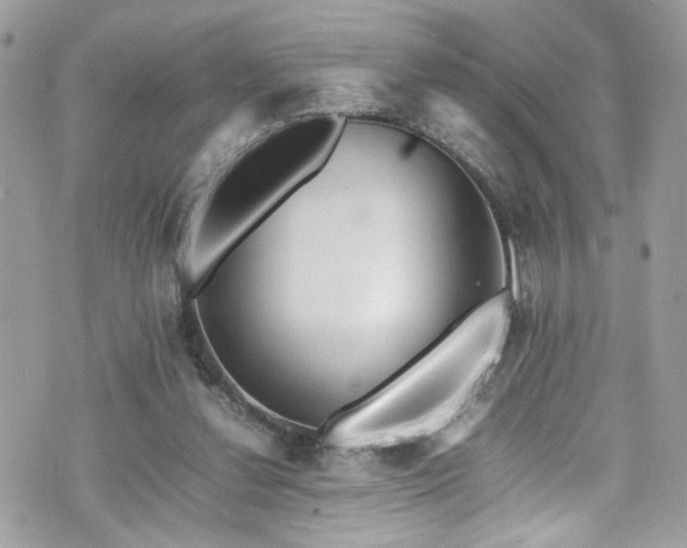 X0000070870252200606161213