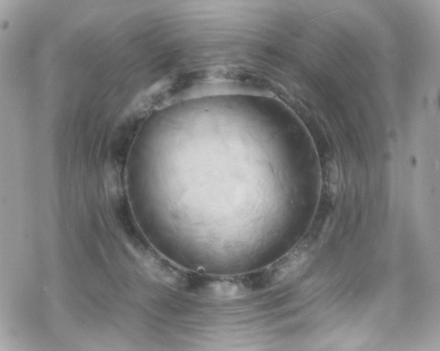 X0000070870272200606161213