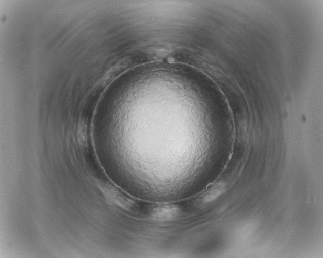 X0000070870274200606161213