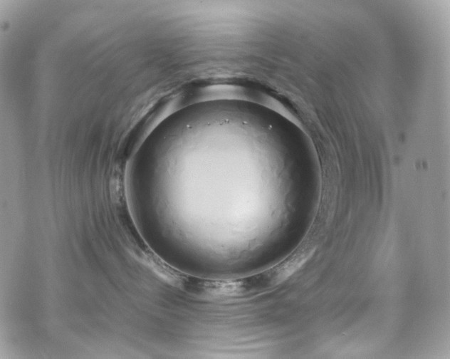 X0000070870288200606161213