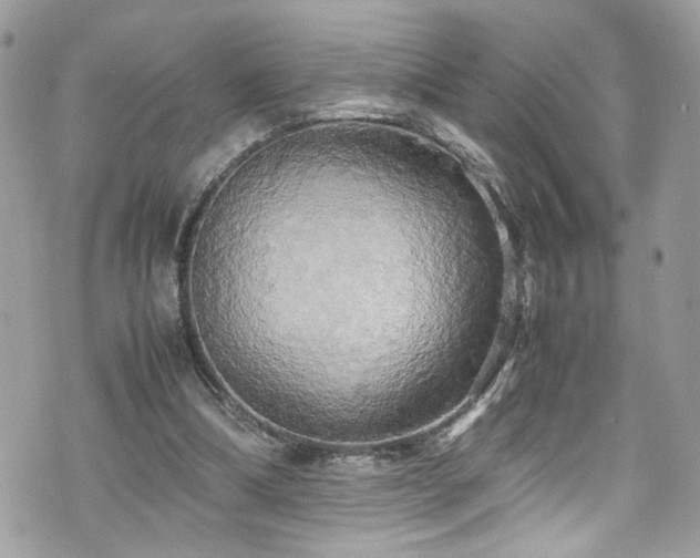 X0000070870298200606161212