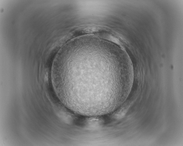 X0000070870315200606161212