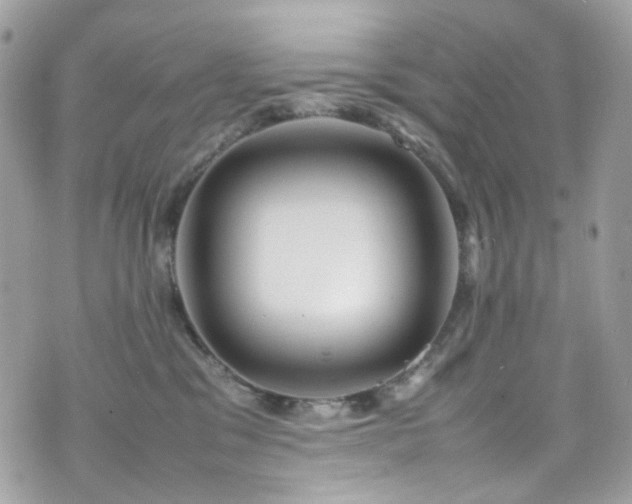 X0000070870329200606161212