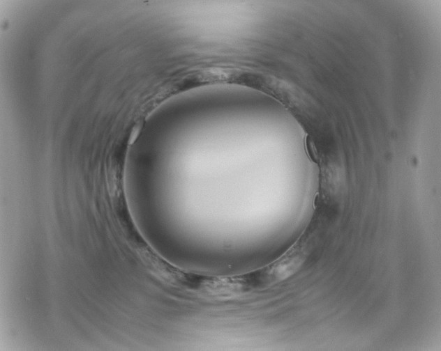 X0000070870331200606161212
