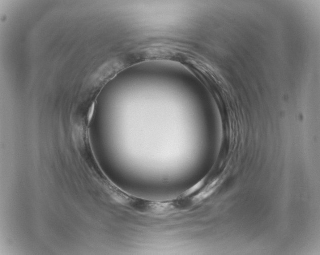 X0000070870333200606161212
