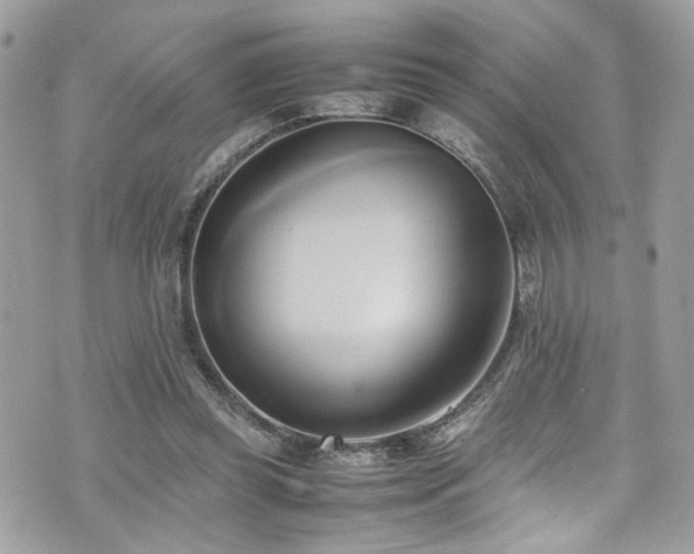 X0000070870349200606161211