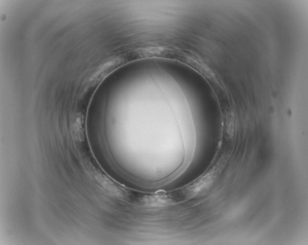 X0000070870378200606161212