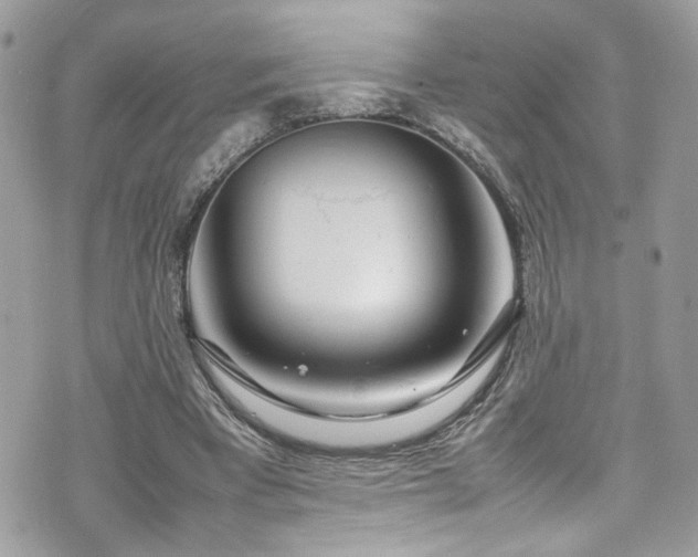 X0000070870393200606161211