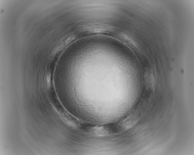 X0000070870406200606161211