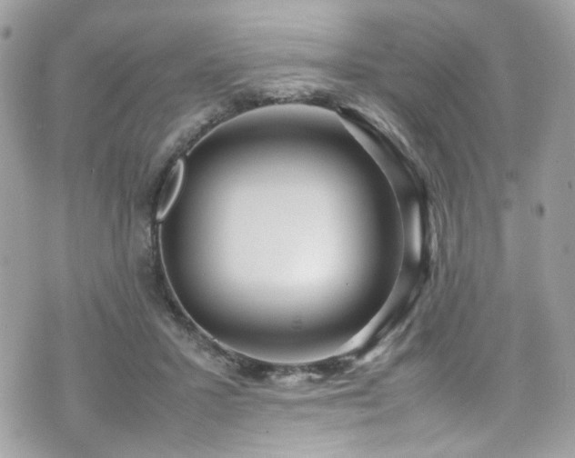 X0000070870407200606161211