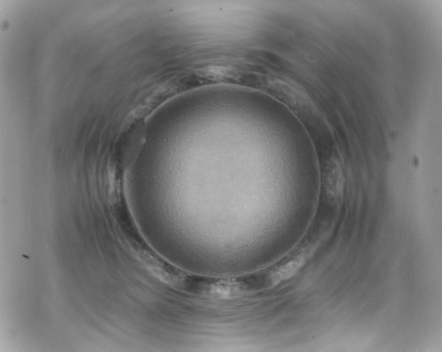 X0000070870420200606161210