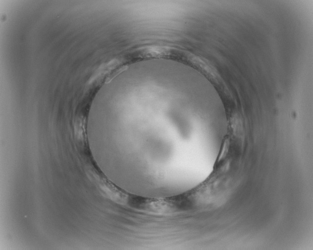 X0000070870423200606161210