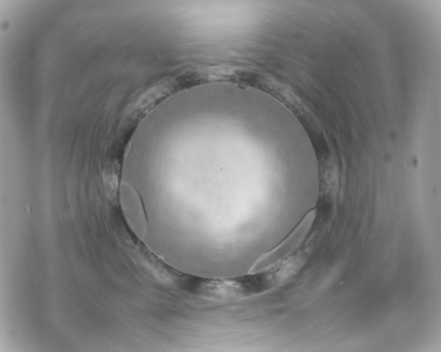 X0000070870427200606161210