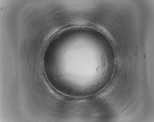 X0000070870433200606161209