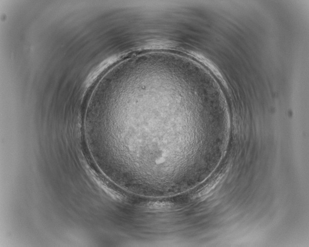 X0000070870437200606161209