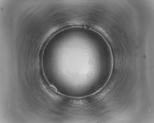 X0000070870439200606161210