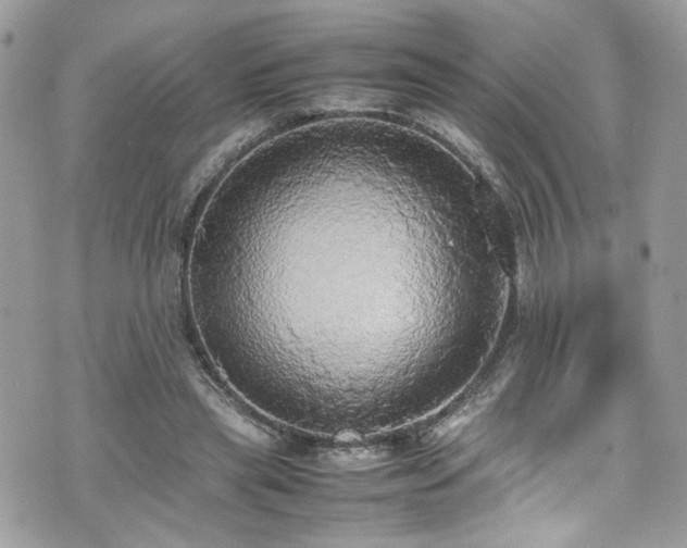 X0000070870445200606161210