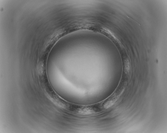 X0000070870451200606161210