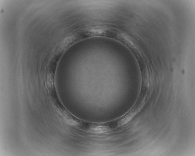 X0000070870467200606161210