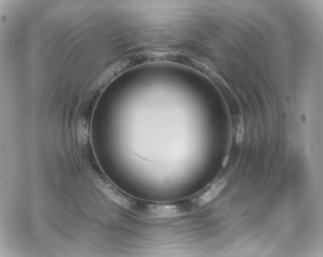 X0000070870476200606161210