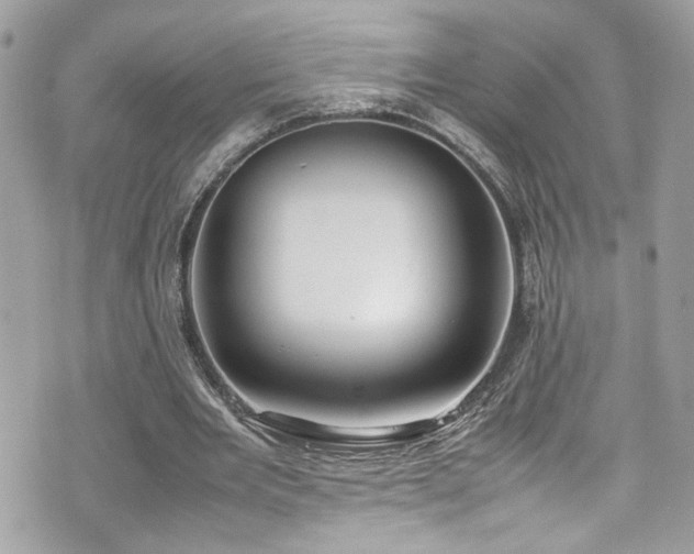 X0000070870485200606161209
