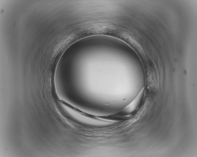 X0000070870493200606161209