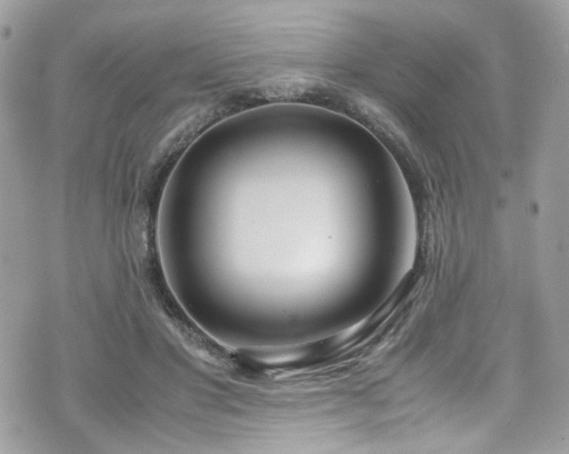 X0000070870501200606161209