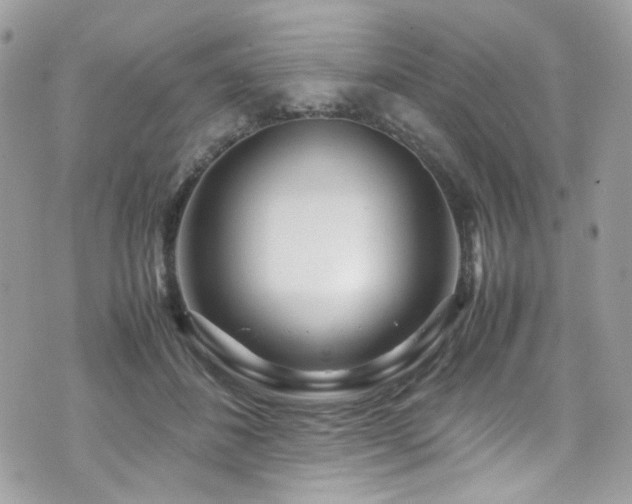 X0000070870508200606161209