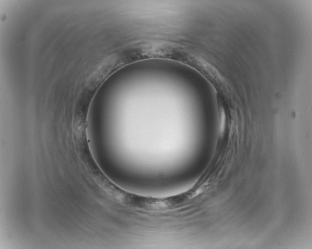 X0000070870513200606161209