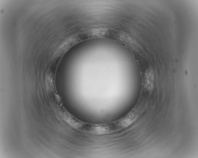 X0000070870522200606161209