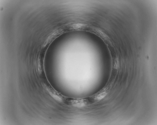 X0000070870524200606161209