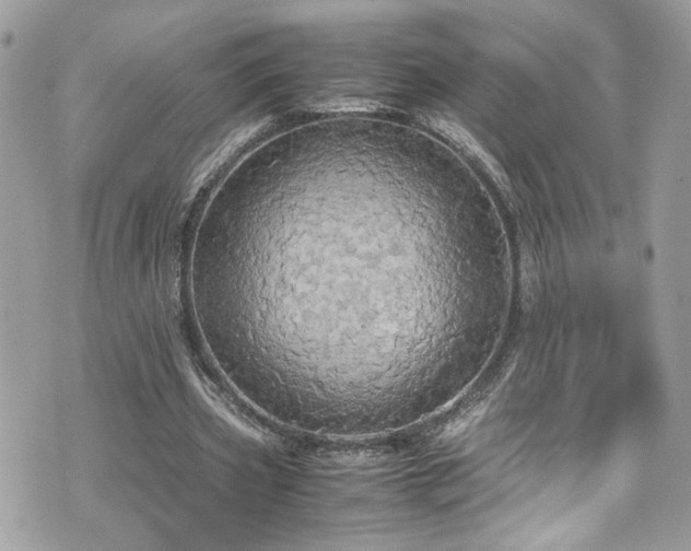 X0000070870533200606161208