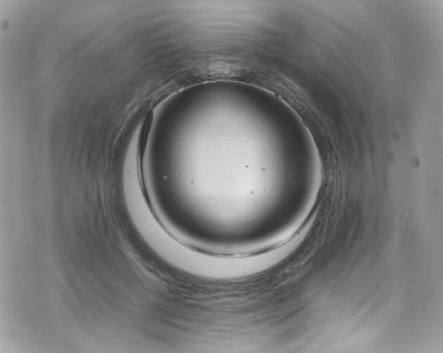 X0000070870552200606161208