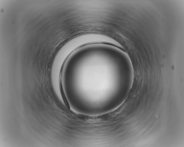 X0000070870556200606161208