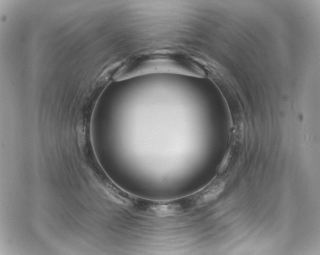 X0000070870558200606161208