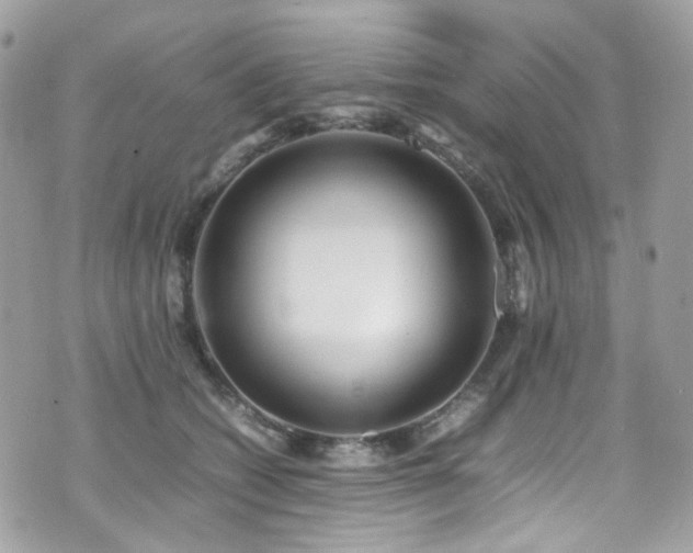 X0000070870562200606161208