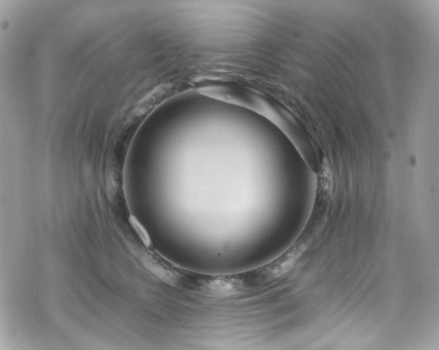 X0000070870566200606161208