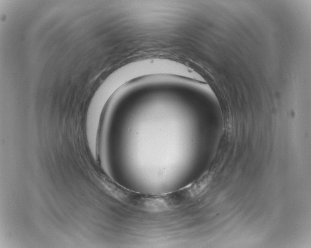 X0000070870572200606161209