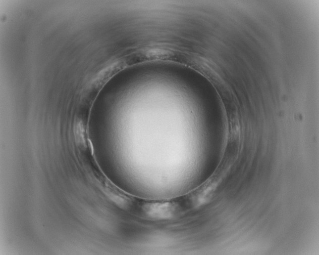 X0000070870575200606161209
