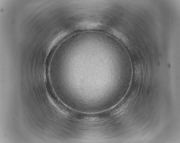 X0000070870582200606161208