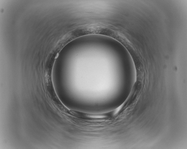 X0000070870597200606161207