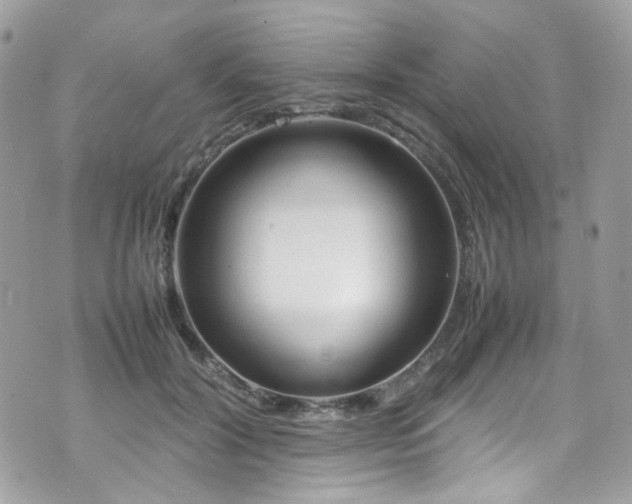 X0000070870604200606161207