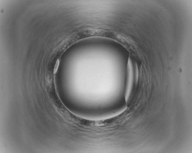 X0000070870607200606161207