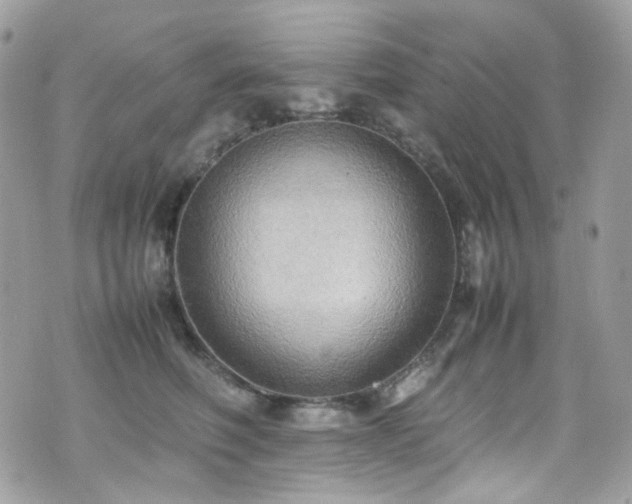 X0000070870614200606161207