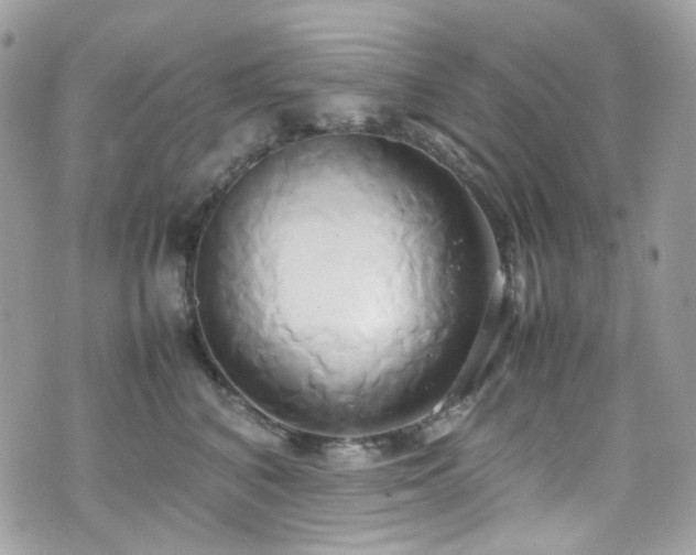 X0000070870616200606161207