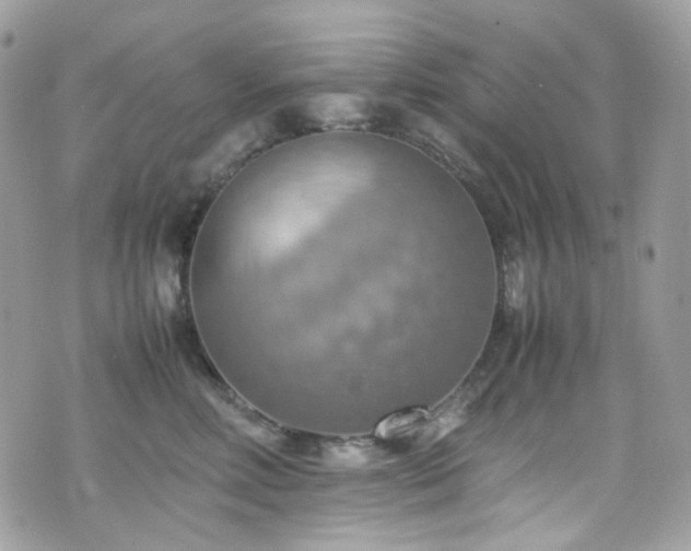 X0000070870618200606161207